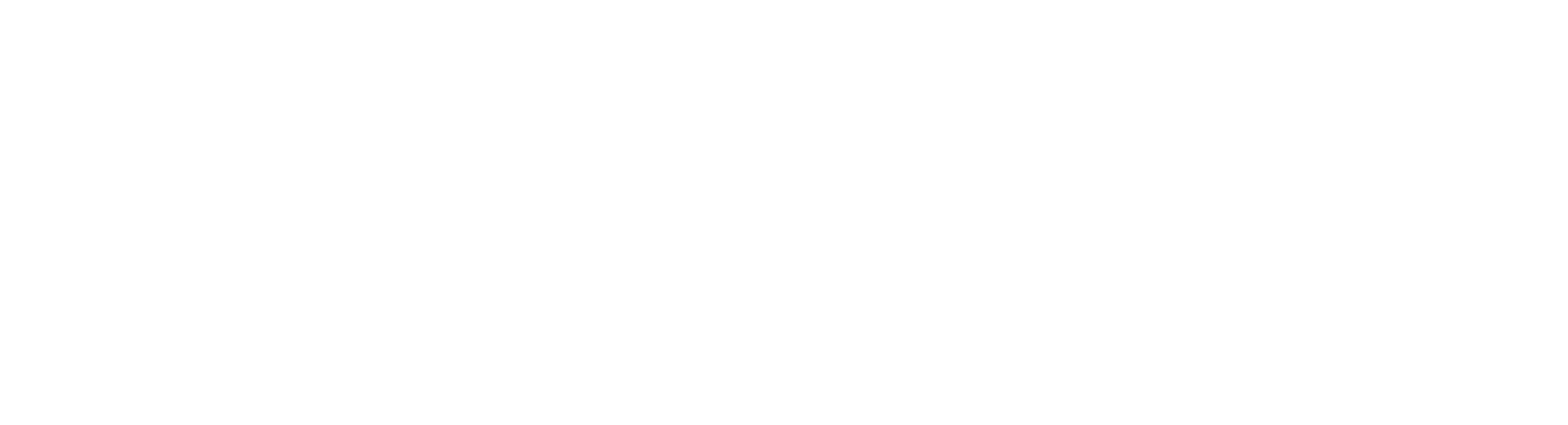 WEWRISE