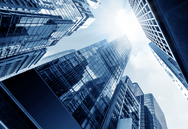Company Consulting Services